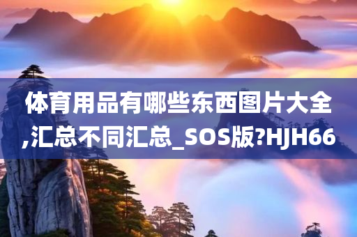 体育用品有哪些东西图片大全,汇总不同汇总_SOS版?HJH66