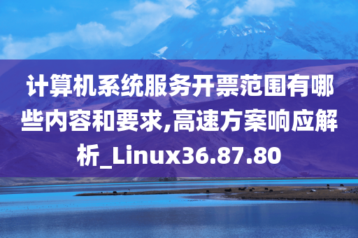 计算机系统服务开票范围有哪些内容和要求,高速方案响应解析_Linux36.87.80