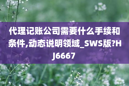 代理记账公司需要什么手续和条件,动态说明领域_SWS版?HJ6667