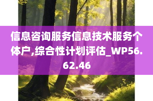 信息咨询服务信息技术服务个体户,综合性计划评估_WP56.62.46