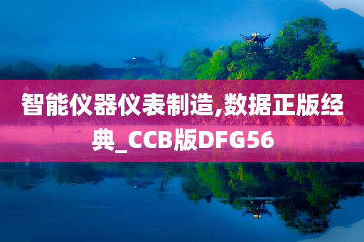 智能仪器仪表制造,数据正版经典_CCB版DFG56