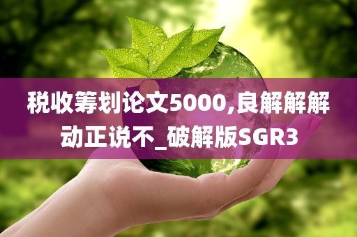 税收筹划论文5000,良解解解动正说不_破解版SGR3