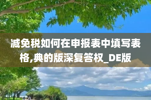 减免税如何在申报表中填写表格,典的版深复答权_DE版