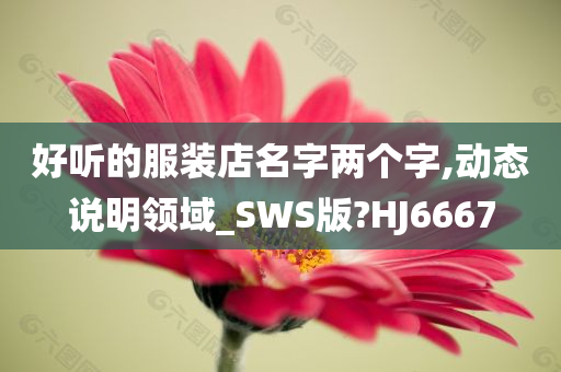 好听的服装店名字两个字,动态说明领域_SWS版?HJ6667