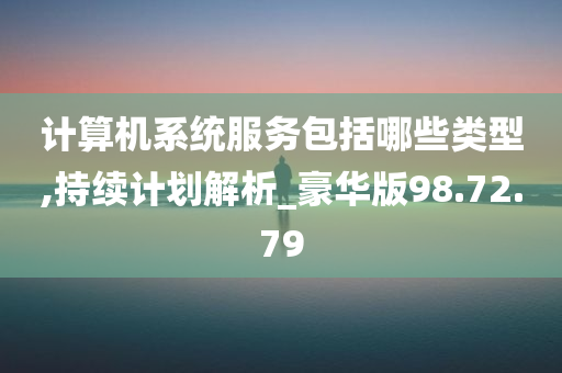 计算机系统服务包括哪些类型,持续计划解析_豪华版98.72.79