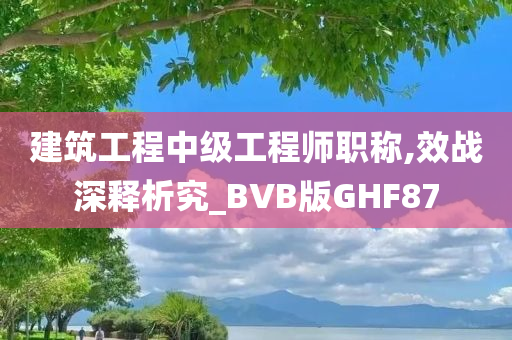 建筑工程中级工程师职称,效战深释析究_BVB版GHF87