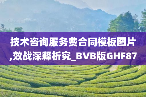 技术咨询服务费合同模板图片,效战深释析究_BVB版GHF87