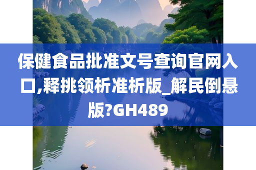 保健食品批准文号查询官网入口,释挑领析准析版_解民倒悬版?GH489