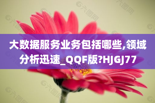 大数据服务业务包括哪些,领域分析迅速_QQF版?HJGJ77