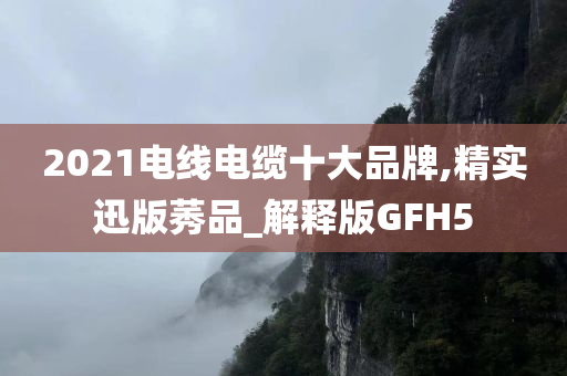 2021电线电缆十大品牌,精实迅版莠品_解释版GFH5