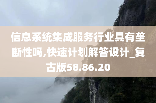 信息系统集成服务行业具有垄断性吗,快速计划解答设计_复古版58.86.20