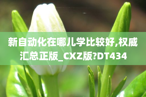 新自动化在哪儿学比较好,权威汇总正版_CXZ版?DT434