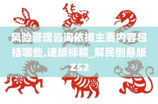 风险管理咨询依据主要内容包括哪些,速版标精_解民倒悬版ZS2