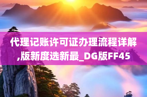 代理记账许可证办理流程详解,版新度选新最_DG版FF45