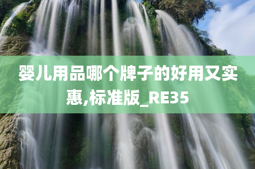 婴儿用品哪个牌子的好用又实惠,标准版_RE35