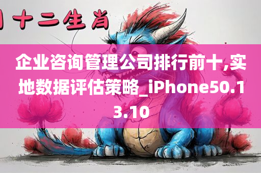 企业咨询管理公司排行前十,实地数据评估策略_iPhone50.13.10