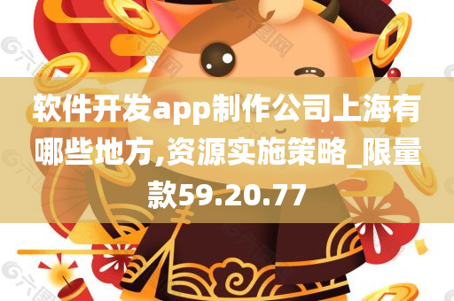 软件开发app制作公司上海有哪些地方,资源实施策略_限量款59.20.77