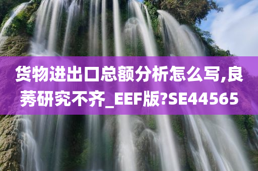 货物进出口总额分析怎么写,良莠研究不齐_EEF版?SE44565