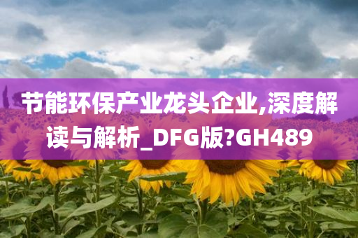 节能环保产业龙头企业,深度解读与解析_DFG版?GH489