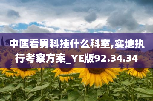 中医看男科挂什么科室,实地执行考察方案_YE版92.34.34