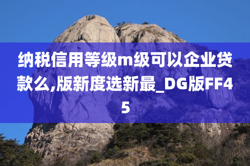 纳税信用等级m级可以企业贷款么,版新度选新最_DG版FF45