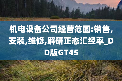 机电设备公司经营范围:销售,安装,维修,解研正态汇经率_DD版GT45