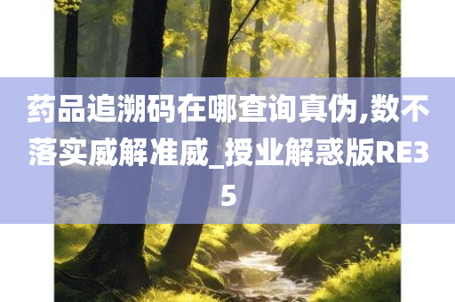 药品追溯码在哪查询真伪,数不落实威解准威_授业解惑版RE35