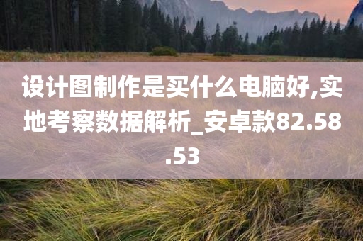 设计图制作是买什么电脑好,实地考察数据解析_安卓款82.58.53