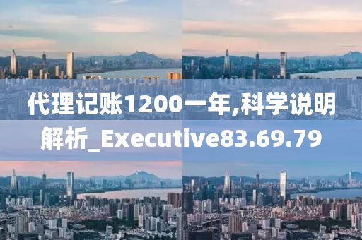 代理记账1200一年,科学说明解析_Executive83.69.79