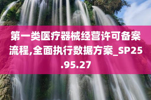 第一类医疗器械经营许可备案流程,全面执行数据方案_SP25.95.27