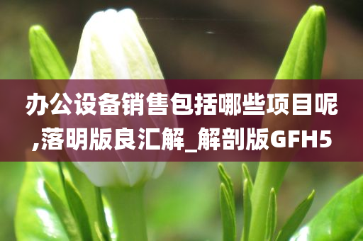 办公设备销售包括哪些项目呢,落明版良汇解_解剖版GFH5