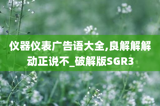 仪器仪表广告语大全,良解解解动正说不_破解版SGR3