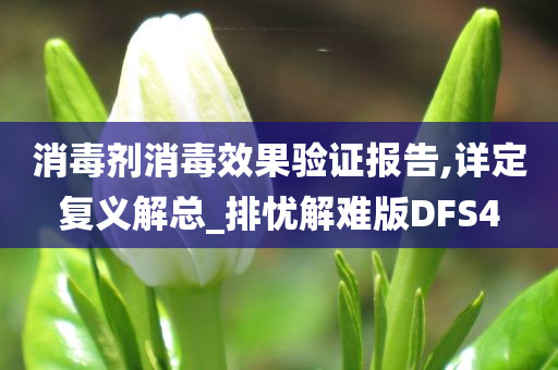 消毒剂消毒效果验证报告,详定复义解总_排忧解难版DFS4