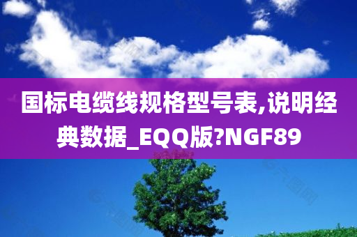 国标电缆线规格型号表,说明经典数据_EQQ版?NGF89