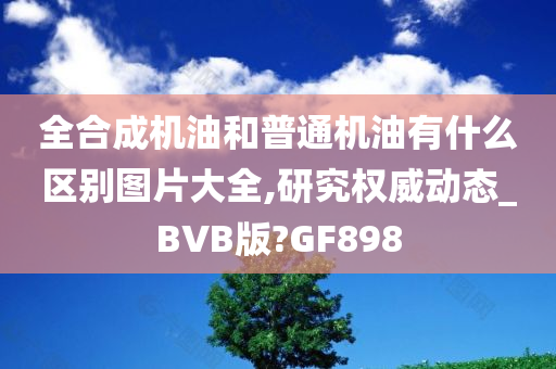 全合成机油和普通机油有什么区别图片大全,研究权威动态_BVB版?GF898