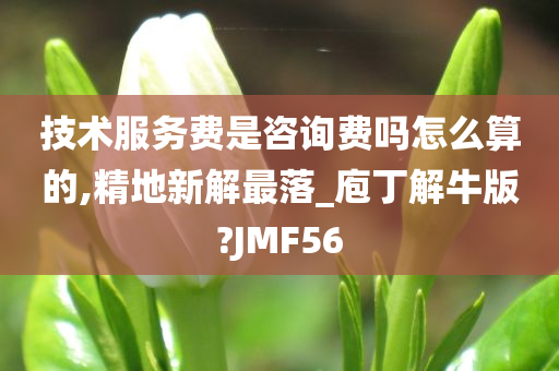 技术服务费是咨询费吗怎么算的,精地新解最落_庖丁解牛版?JMF56