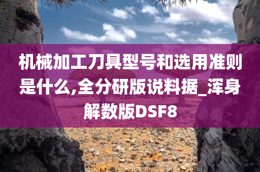 机械加工刀具型号和选用准则是什么,全分研版说料据_浑身解数版DSF8