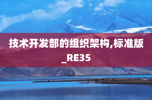 技术开发部的组织架构,标准版_RE35