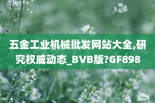 五金工业机械批发网站大全,研究权威动态_BVB版?GF898