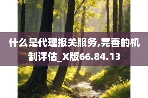 什么是代理报关服务,完善的机制评估_X版66.84.13