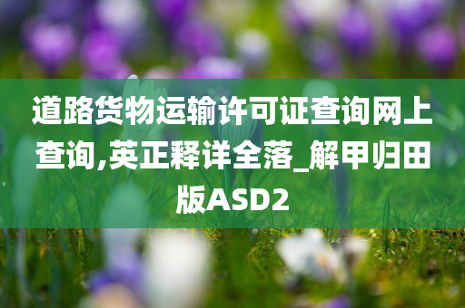 道路货物运输许可证查询网上查询,英正释详全落_解甲归田版ASD2