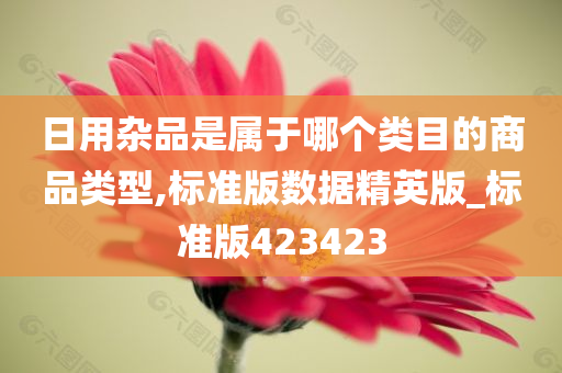 日用杂品是属于哪个类目的商品类型,标准版数据精英版_标准版423423