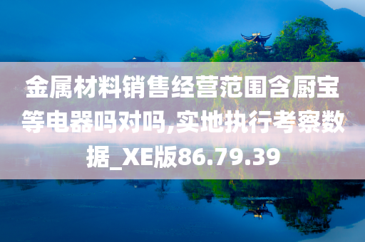 金属材料销售经营范围含厨宝等电器吗对吗,实地执行考察数据_XE版86.79.39