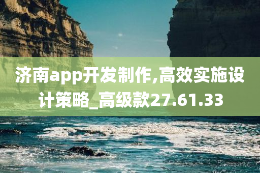 济南app开发制作,高效实施设计策略_高级款27.61.33