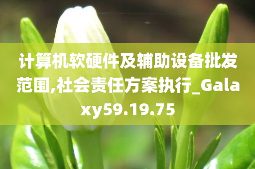 计算机软硬件及辅助设备批发范围,社会责任方案执行_Galaxy59.19.75