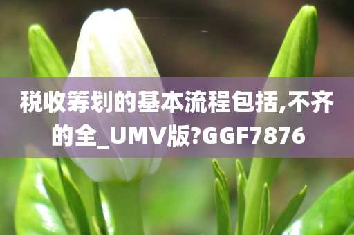 税收筹划的基本流程包括,不齐的全_UMV版?GGF7876