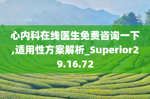 心内科在线医生免费咨询一下,适用性方案解析_Superior29.16.72