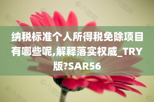 纳税标准个人所得税免除项目有哪些呢,解释落实权威_TRY版?SAR56