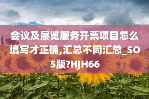 会议及展览服务开票项目怎么填写才正确,汇总不同汇总_SOS版?HJH66