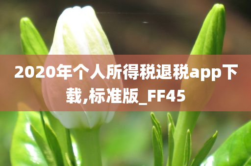 2020年个人所得税退税app下载,标准版_FF45